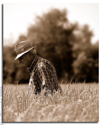 "Farmer" by otomatuah on Flickr.com